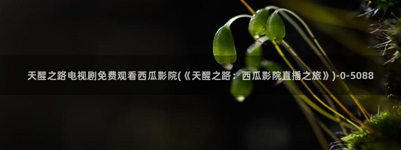 满清十大酷刑西瓜影院