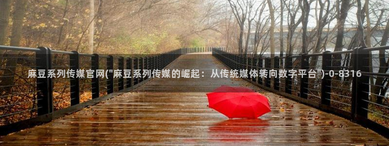 麻豆传媒官网兄妹：麻豆系列传媒官网(\