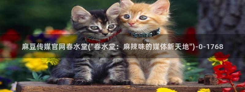 麻豆md传媒官网：麻豆传媒官网春水堂(\