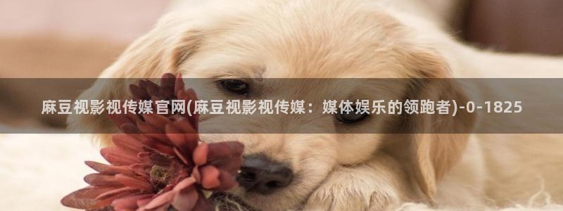 麻豆传媒官网直播：麻豆视影视传媒官网(麻豆视影视传媒：媒体娱乐的领跑者)