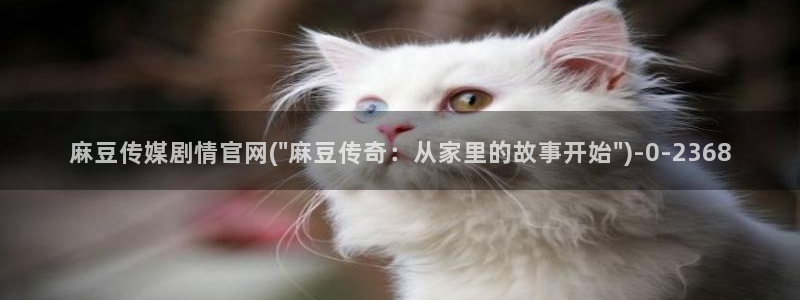 麻豆传媒官网 知乎：麻豆传媒剧情官网(\