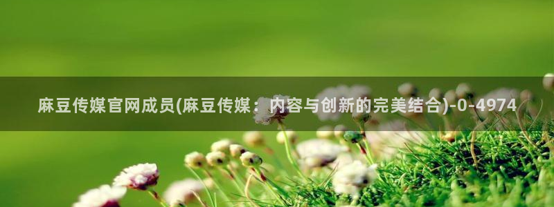 麻豆视影视传媒官网：麻豆传媒官网成员(麻豆传媒：内容与创新的完美结合)