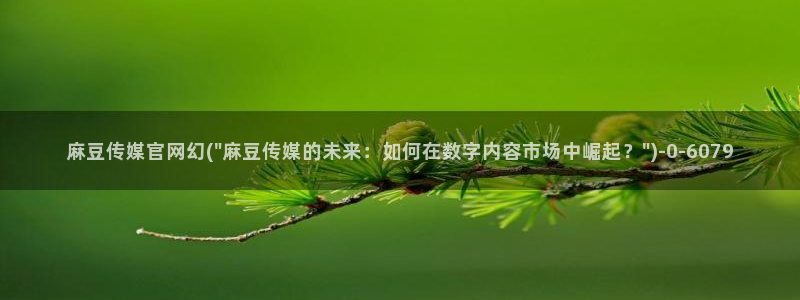 麻豆传媒国产剧情官网：麻豆传媒官网幻(\