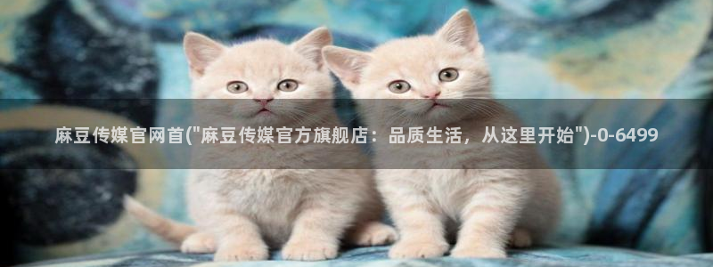 官网麻豆传媒视频：麻豆传媒官网首(\