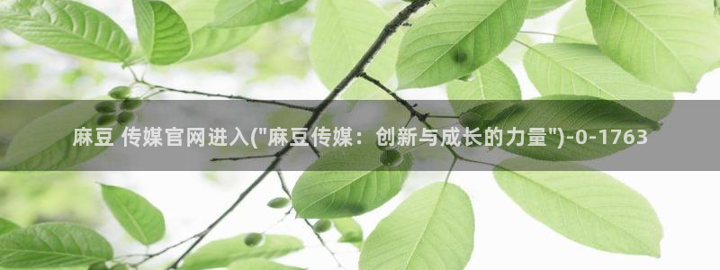麻豆传媒 台湾 官网：麻豆 传媒官网进入(\