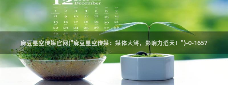 国产麻豆剧传媒官网：麻豆星空传媒官网(\