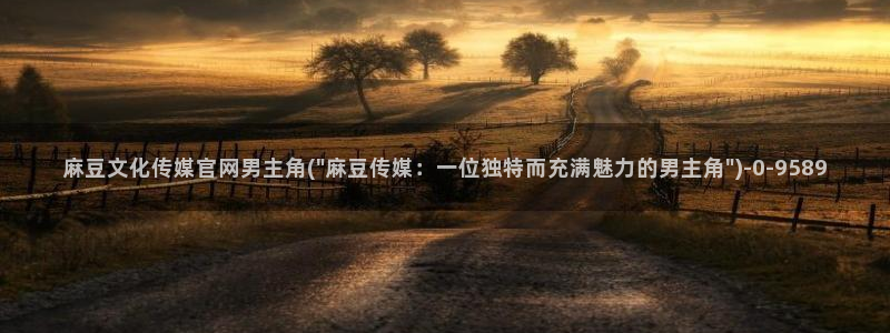 麻豆传媒官网国产：麻豆文化传媒官网男主角(\