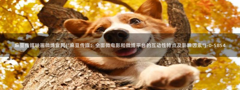 麻豆自制传媒官网多少：麻豆传媒映画微博官网(\