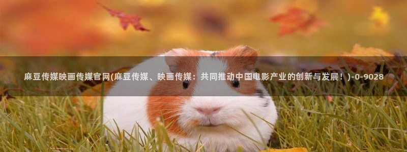 麻豆官网传媒映画：麻豆传媒映画传媒官网(麻豆传媒、映画传媒：共同推动中国电影产业的创新与发展！)
