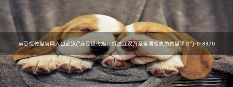 看麻豆传媒官网：麻豆视传媒官网入口武汉(\