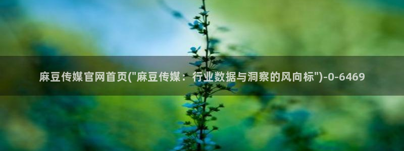 麻豆传媒官网在哪里：麻豆传媒官网首页(\