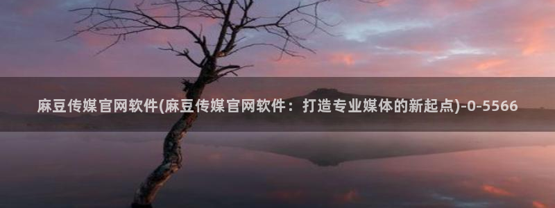 传媒的官网麻豆：麻豆传媒官网软件(麻豆传媒官网软件：打造专业媒体的新起点)