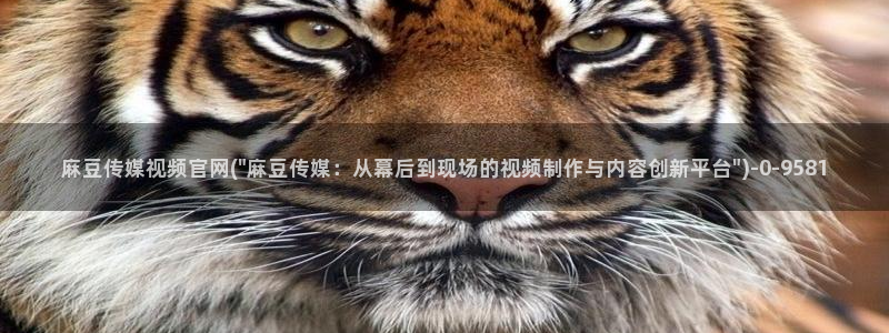 麻豆91传媒官网