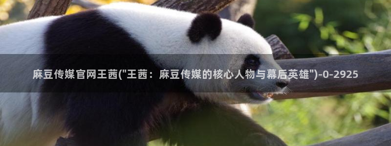 麻豆传媒国产紫光官网