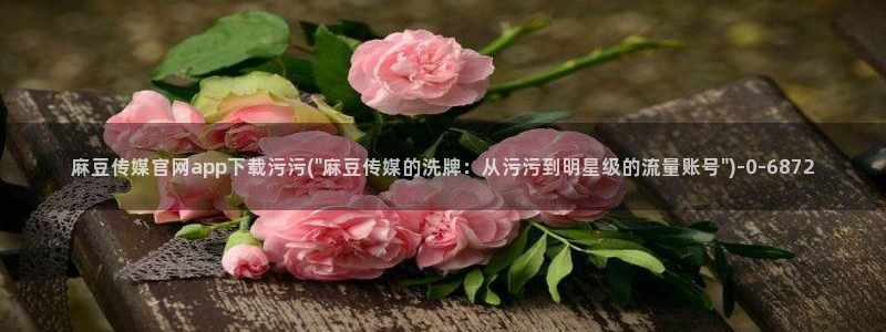 麻豆i传媒官网